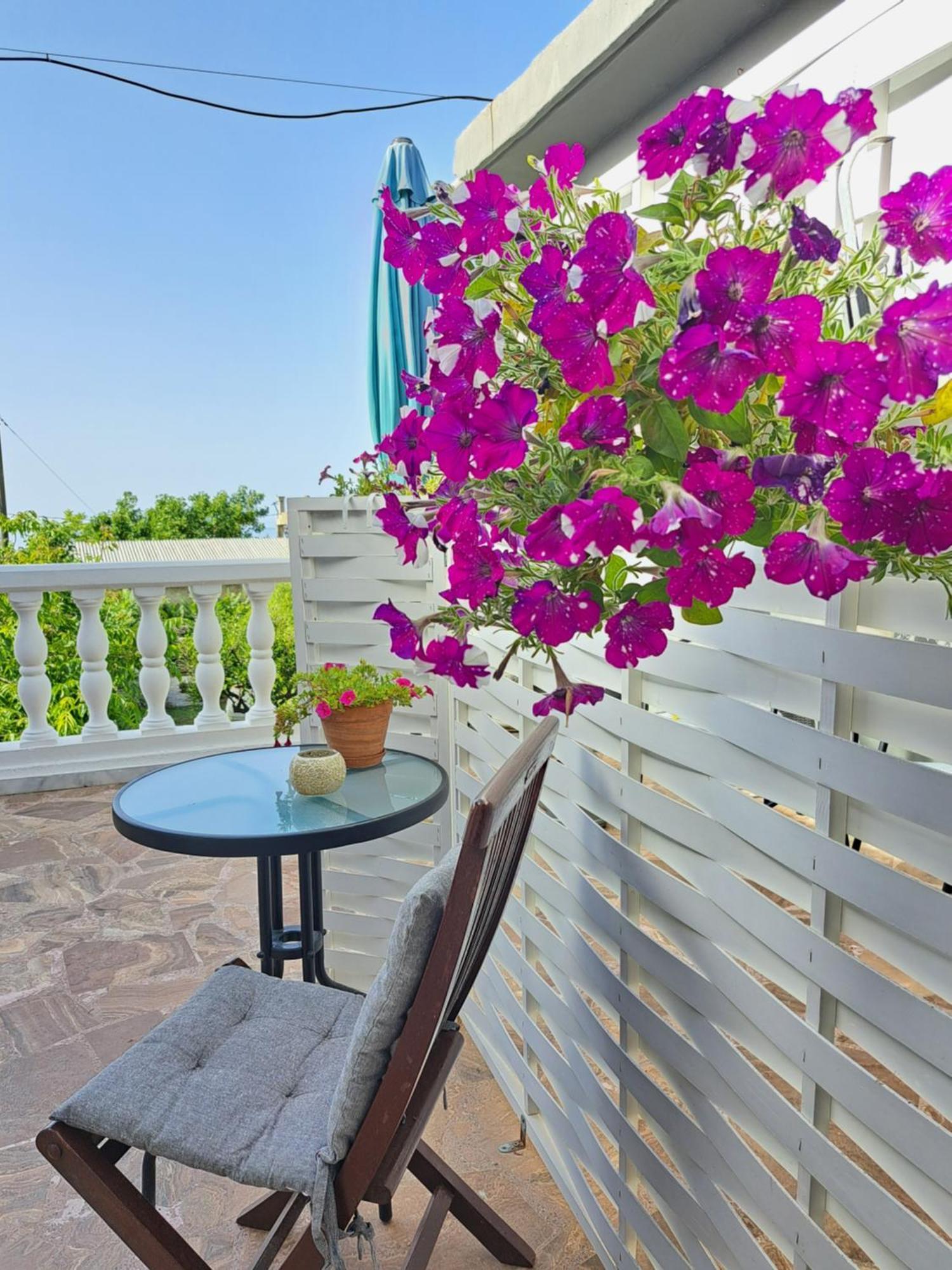 Garden Rooms Pirgos Psilonerou エクステリア 写真