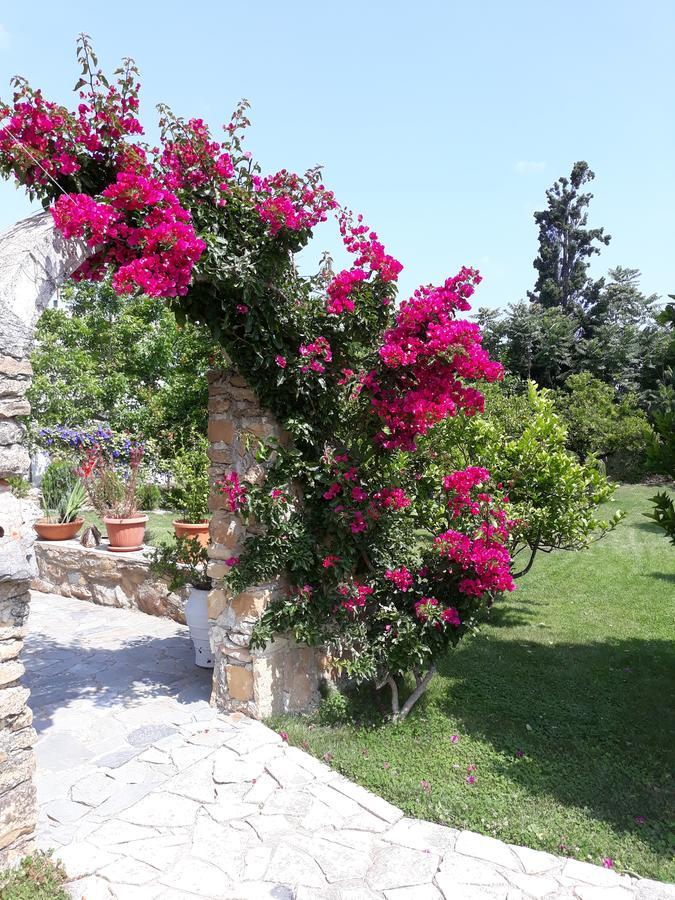 Garden Rooms Pirgos Psilonerou エクステリア 写真